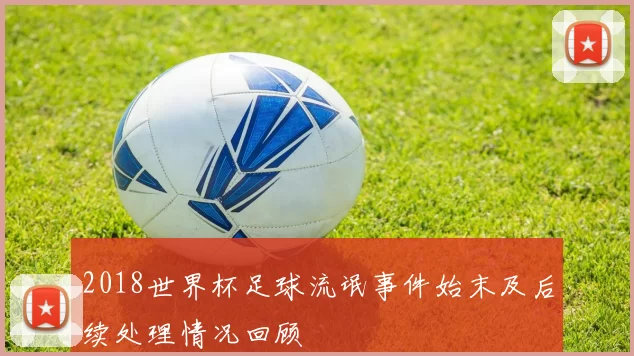2018世界杯足球流氓事件始末及后续处理情况回顾