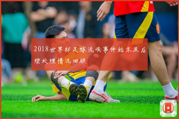 2018世界杯足球流氓事件始末及后续处理情况回顾