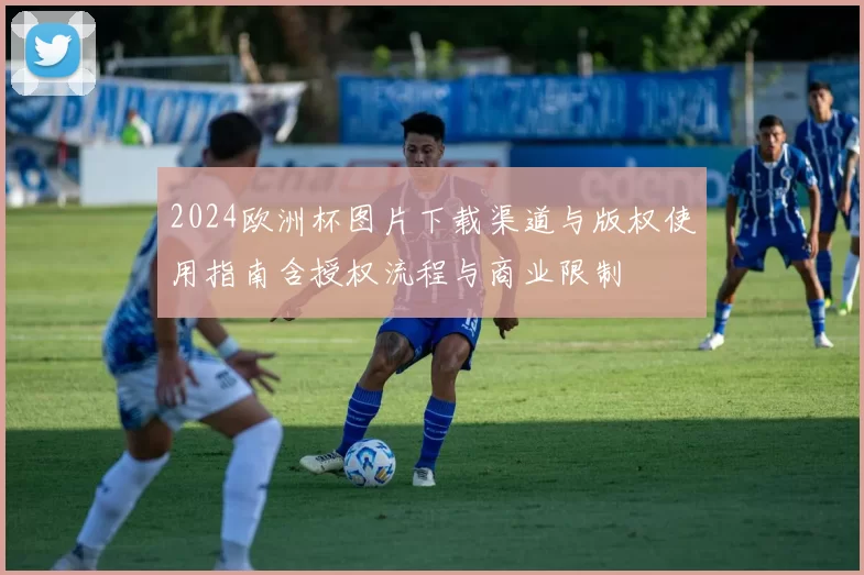 2024欧洲杯图片下载渠道与版权使用指南含授权流程与商业限制