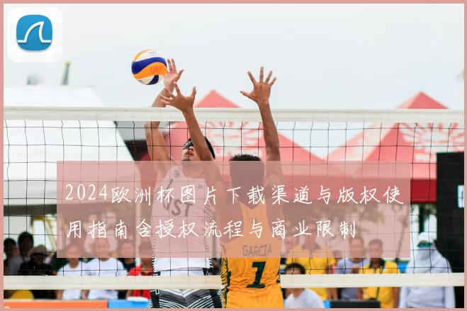 2024欧洲杯图片下载渠道与版权使用指南含授权流程与商业限制