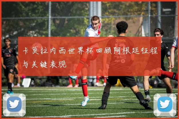 卡莫拉内西世界杯回顾阿根廷征程与关键表现