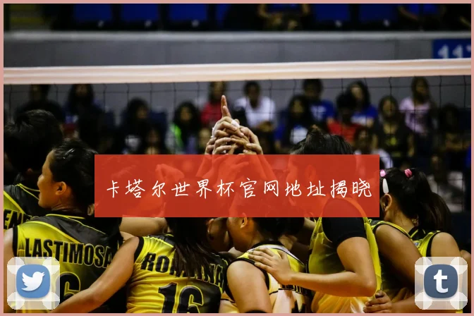 卡塔尔世界杯官网地址揭晓