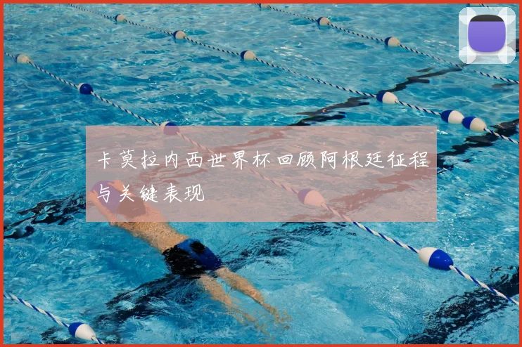 卡莫拉内西世界杯回顾阿根廷征程与关键表现